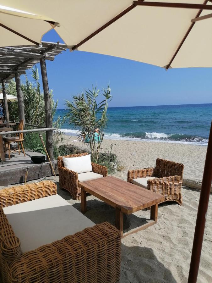 Studio 4 Personnes Bord De Mer Avec Piscine Wifi Cervione Exterior foto